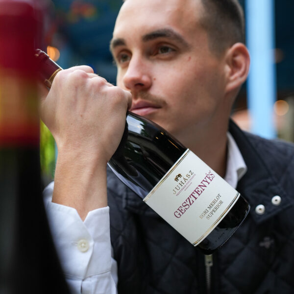 Juhász Egri Gesztenyés Merlot 2022 - Image 2