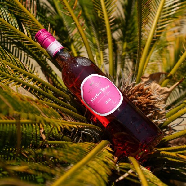 Juhász Merlot Rosé 2024 - Image 3