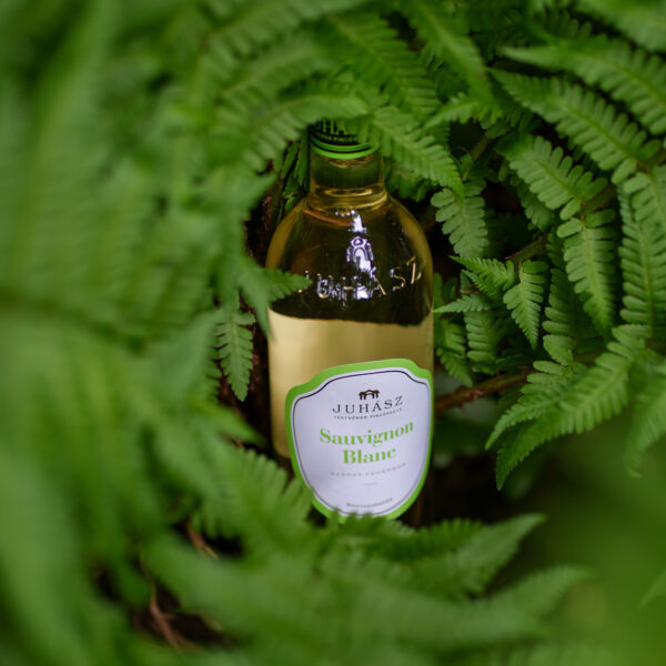 Juhász Sauvignon Blanc 2024 - Image 2