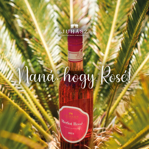 Juhász Merlot Rosé 2024 - Image 3