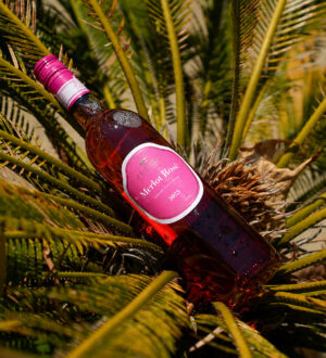 Juhász Merlot Rosé 2024